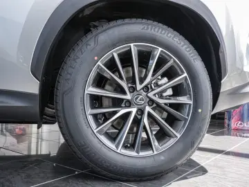 Lexus NX 350h Business Line Plus SITZBELÜFTUNG 360