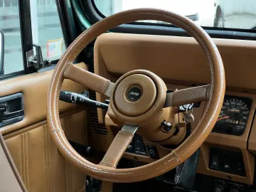 03.1994   Jeep Wrangler Limited   Hard TOP   Vehicul Istoric