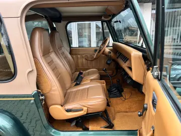 03.1994   Jeep Wrangler Limited   Hard TOP   Vehicul Istoric