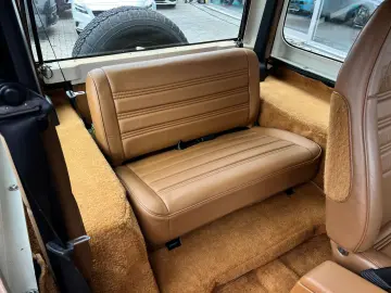 03.1994   Jeep Wrangler Limited   Hard TOP   Vehicul Istoric