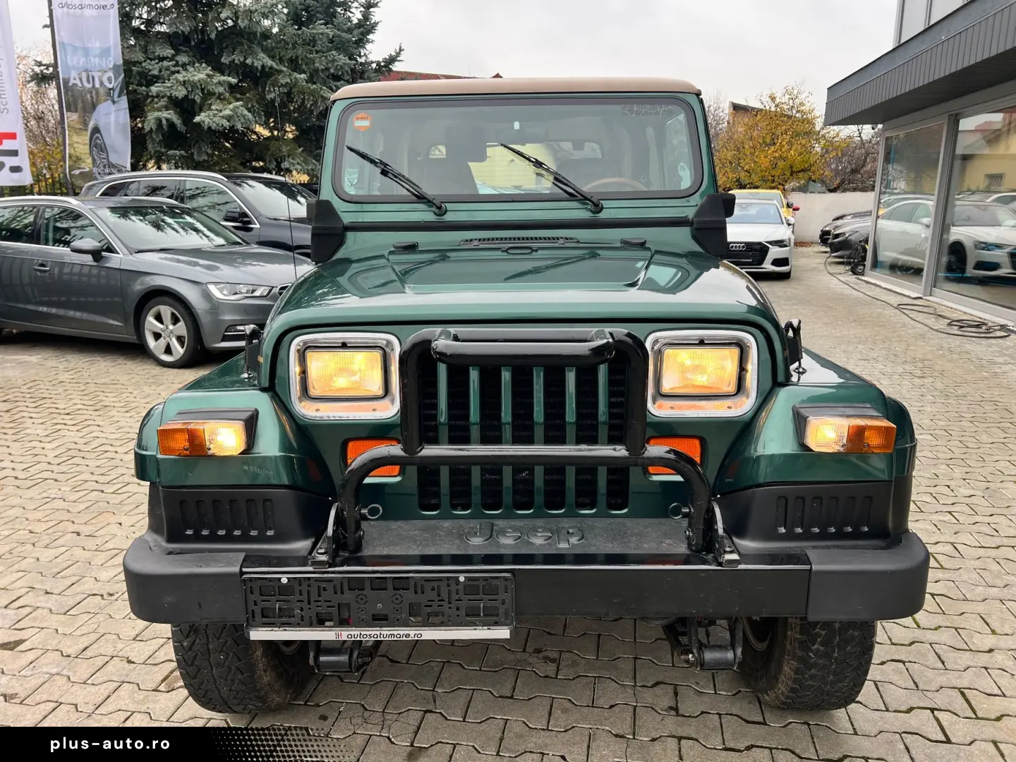 03.1994   Jeep Wrangler Limited   Hard TOP   Vehicul Istoric