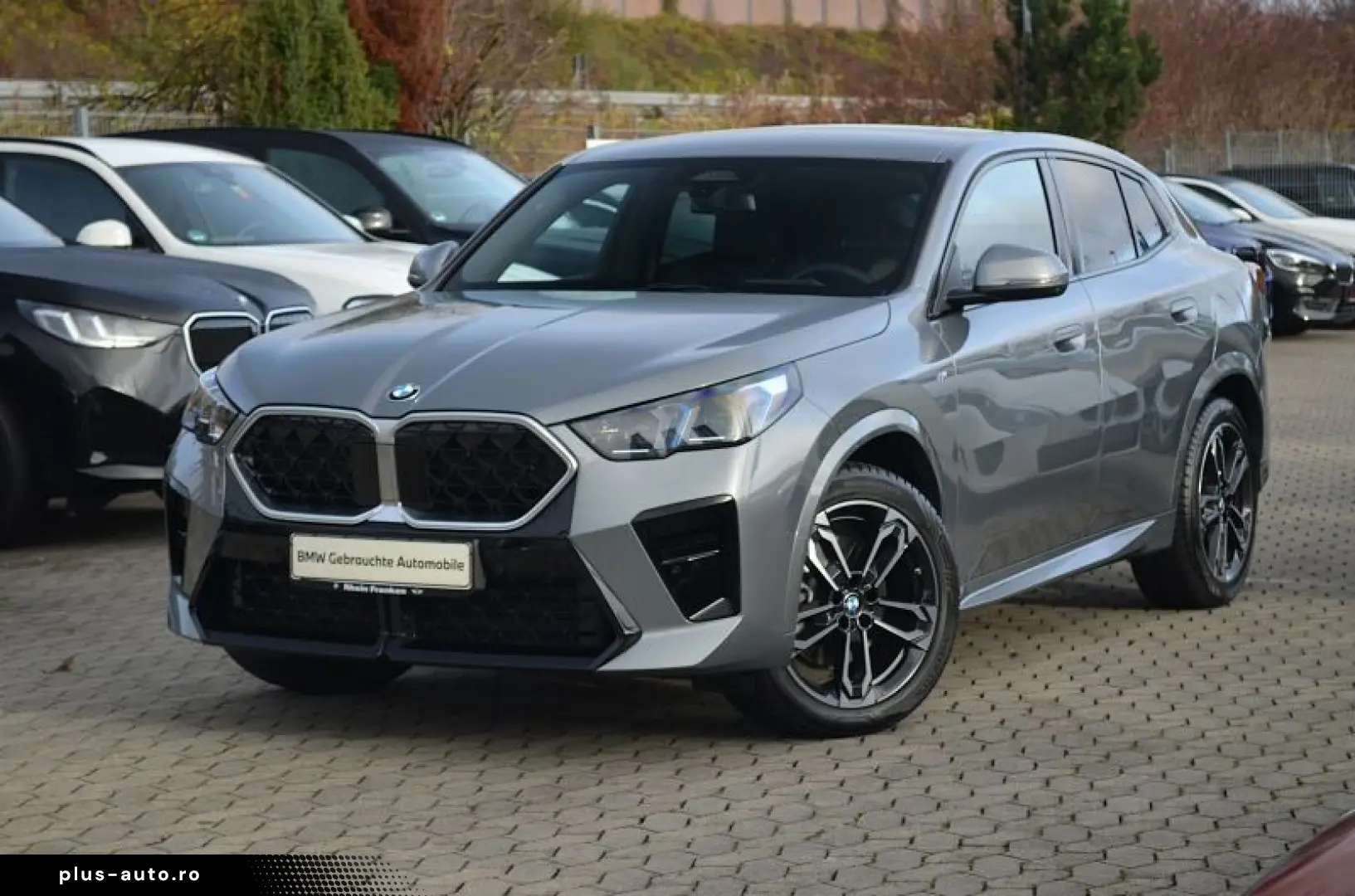 BMW X2 sDrive20i IconicGlow360