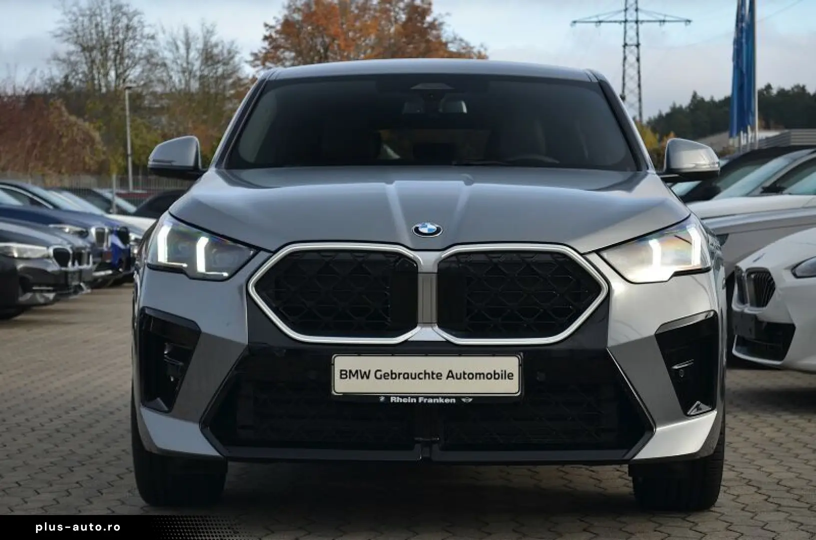BMW X2 sDrive20i IconicGlow360