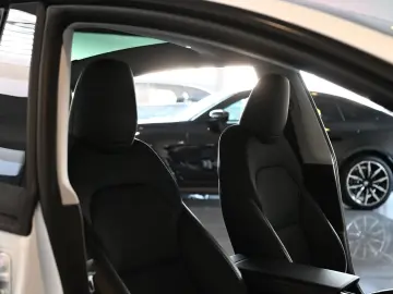 TESLA Model 3 Long Range Dual AWD AHK ACC Pano
