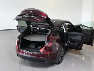 TESLA Model Y Performance Long Range Dual AWD