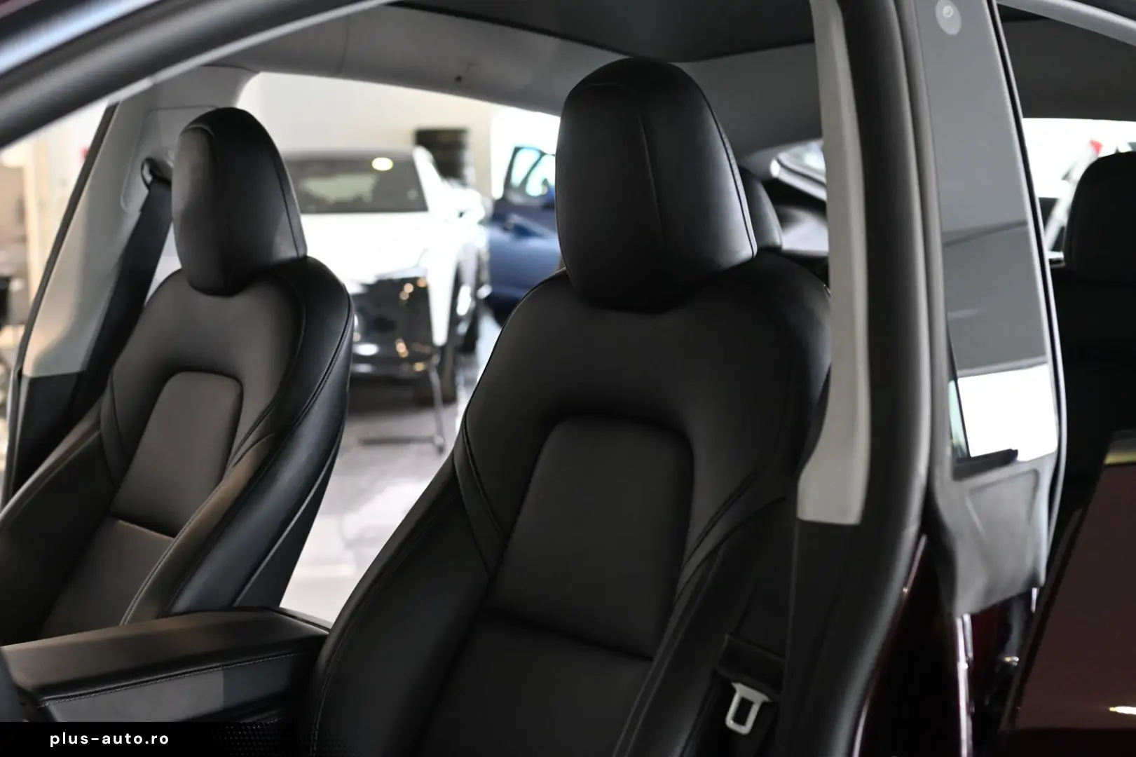 TESLA Model Y Performance Long Range Dual AWD