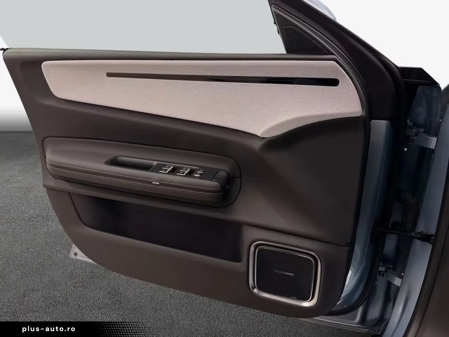 Polestar 4 Dual Motor 100kWh Paket-Pilot-Plus