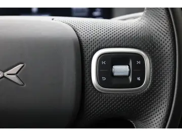 XPENG G6 AWD Performance Distr Pano 360Kam Leder