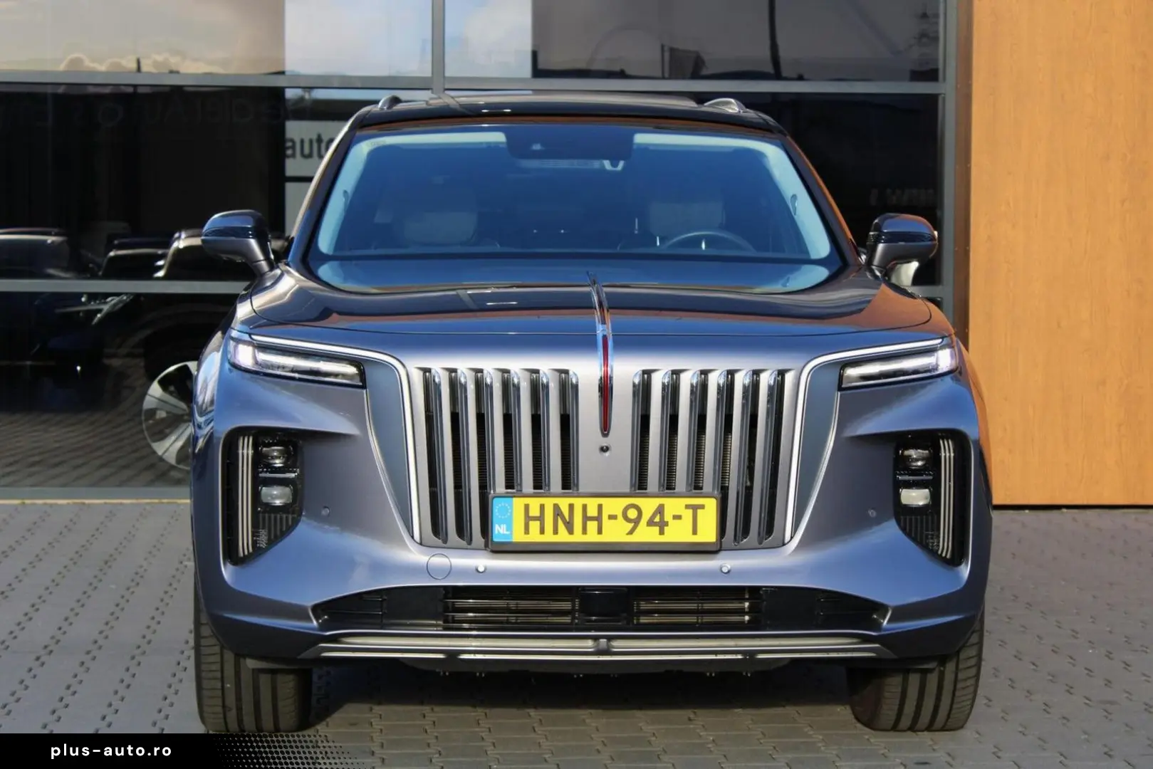 HONGQI E-HS9 Executive 99kWh   7-pers   Orginal NL   20