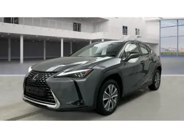 LEXUS UX 300e Luxury Line 360 Grad Kamera Mark Levinso