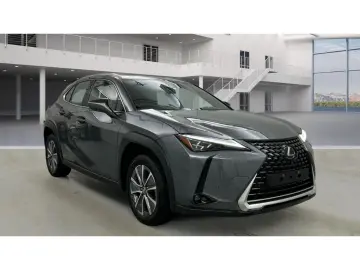 LEXUS UX 300e Luxury Line 360 Grad Kamera Mark Levinso