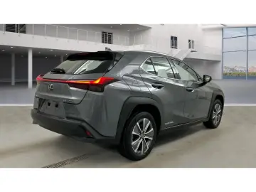 LEXUS UX 300e Luxury Line 360 Grad Kamera Mark Levinso