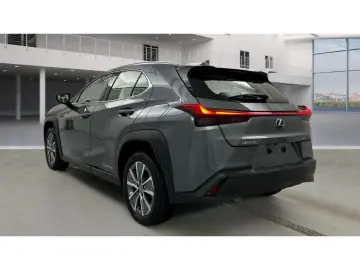 LEXUS UX 300e Luxury Line 360 Grad Kamera Mark Levinso