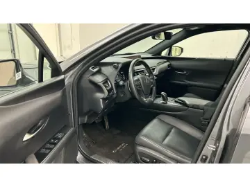 LEXUS UX 300e Luxury Line 360 Grad Kamera Mark Levinso