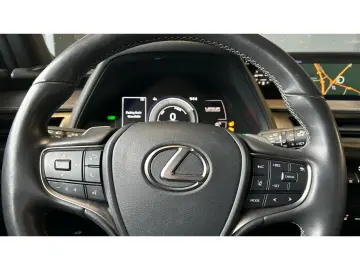 LEXUS UX 300e Luxury Line 360 Grad Kamera Mark Levinso