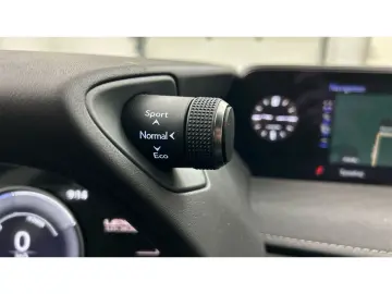 LEXUS UX 300e Luxury Line 360 Grad Kamera Mark Levinso