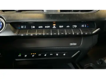 LEXUS UX 300e Luxury Line 360 Grad Kamera Mark Levinso