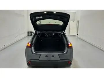 LEXUS UX 300e Luxury Line 360 Grad Kamera Mark Levinso