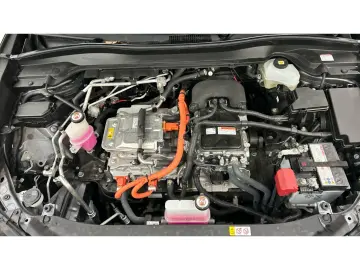 LEXUS UX 300e Luxury Line 360 Grad Kamera Mark Levinso