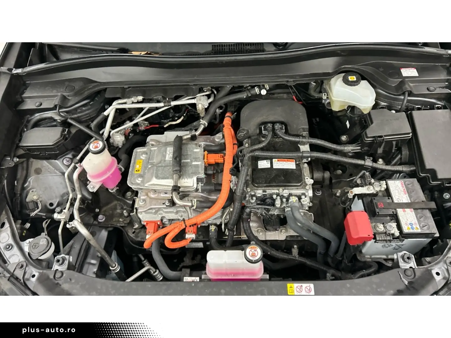 LEXUS UX 300e Luxury Line 360 Grad Kamera Mark Levinso