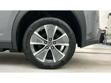 LEXUS UX 300e Luxury Line 360 Grad Kamera Mark Levinso