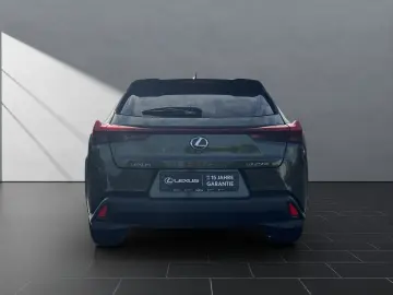 LEXUS UX 250 h LED TOP  KAMERA NAVI FACELIFT