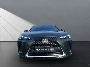 LEXUS UX 250 h LED TOP  KAMERA NAVI FACELIFT