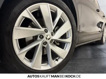 SKODA ElsaPro kontrolliert - Kontrollpflicht vor