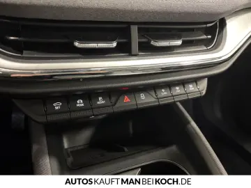 SKODA ElsaPro kontrolliert - Kontrollpflicht vor