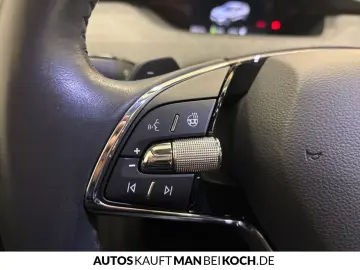 SKODA ElsaPro kontrolliert - Kontrollpflicht vor