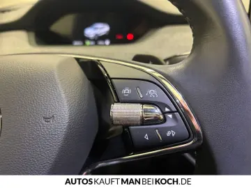 SKODA ElsaPro kontrolliert - Kontrollpflicht vor