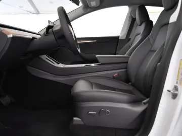 TESLA Model Y Long Range AWD 20-Zoll W-Reifen PDC VAT