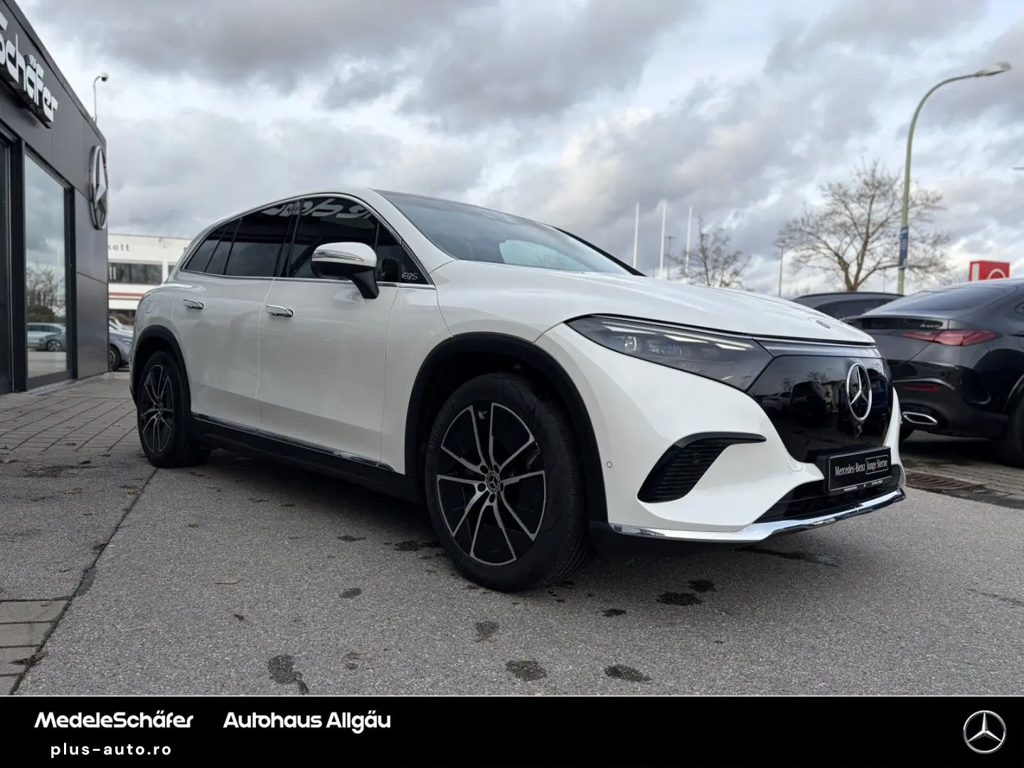 MERCEDES-BENZ EQS SUV 450