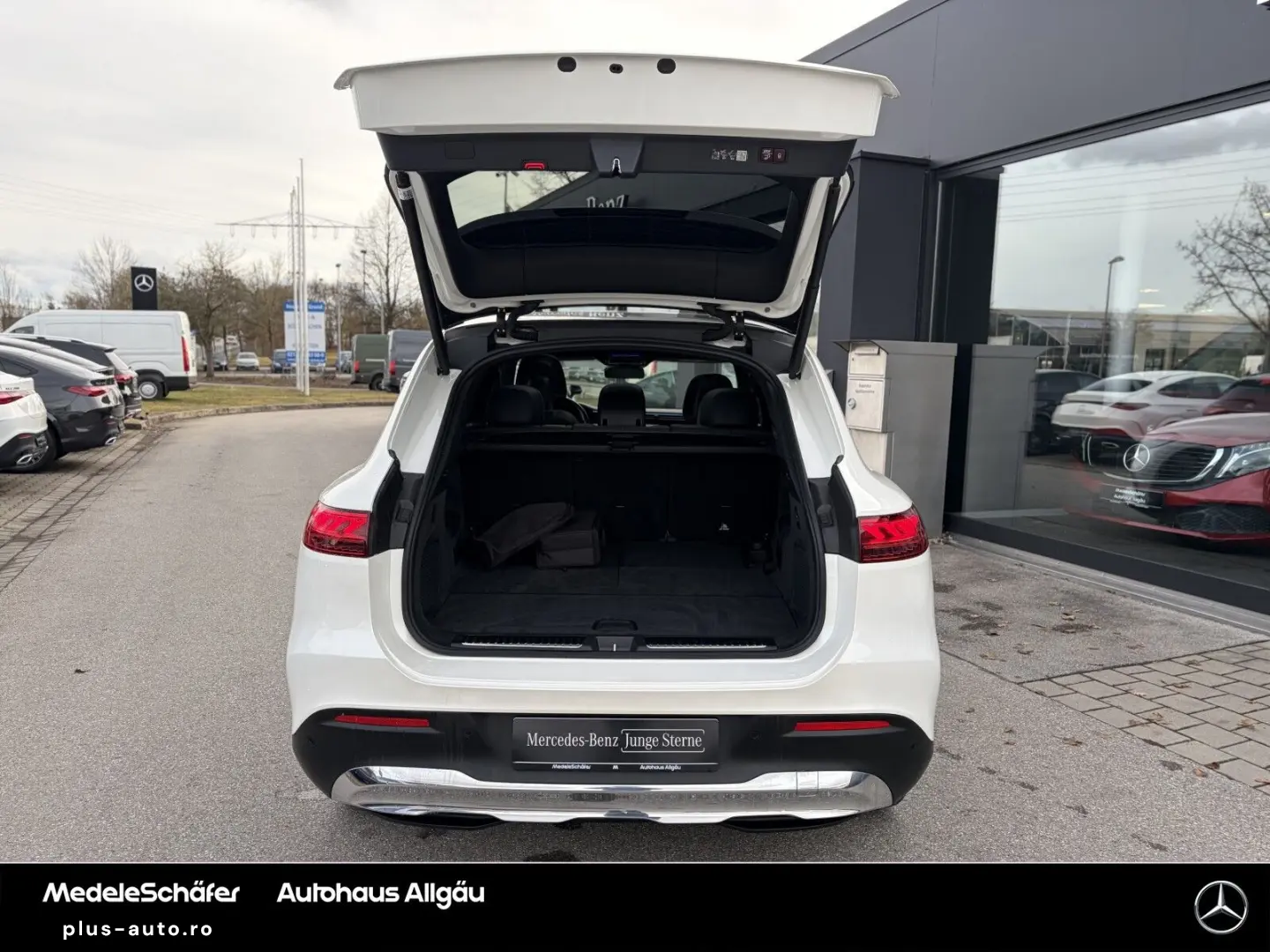 MERCEDES-BENZ EQS SUV 450