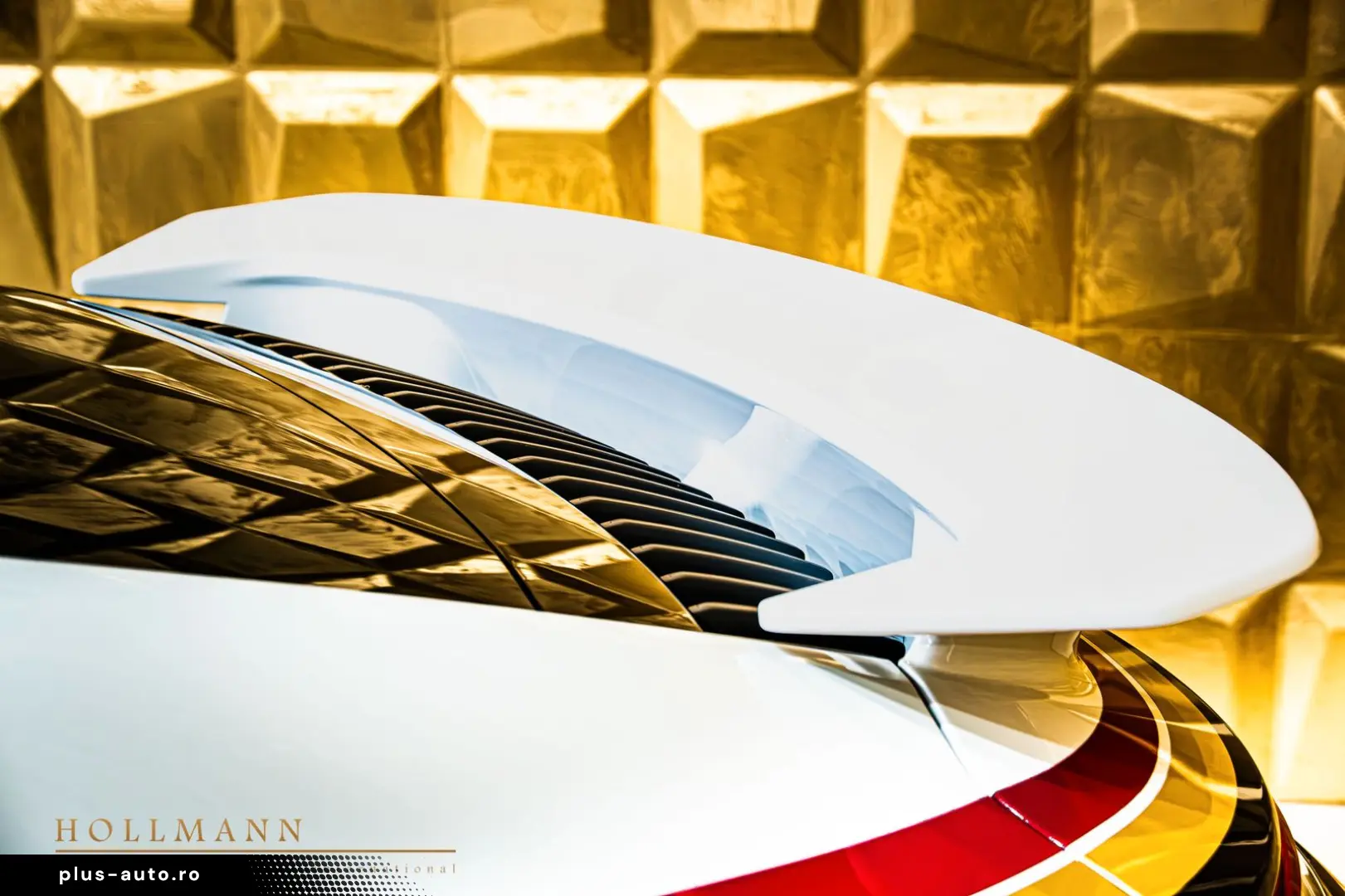 PORSCHE 911 DAKAR   RALLYE DESIGN PACKAGE   ROOF RACK