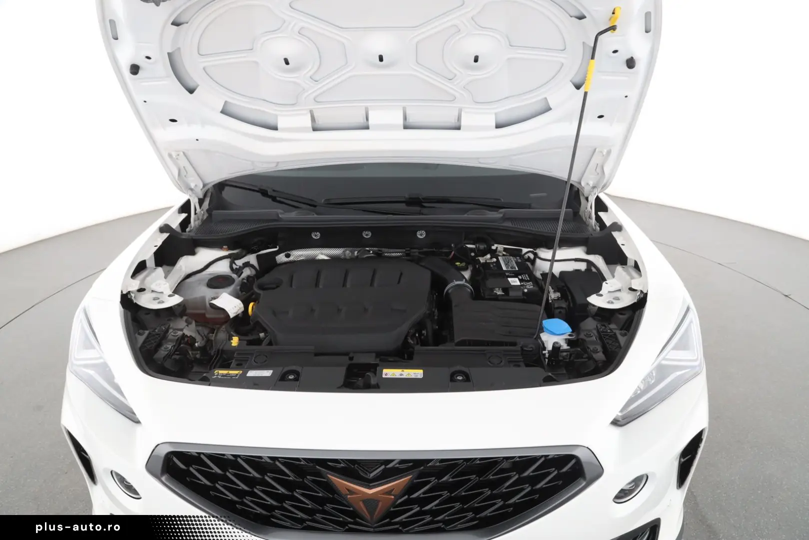 CUPRA Formentor 2.0 TSI DSG 4Drive   LED   NAVI