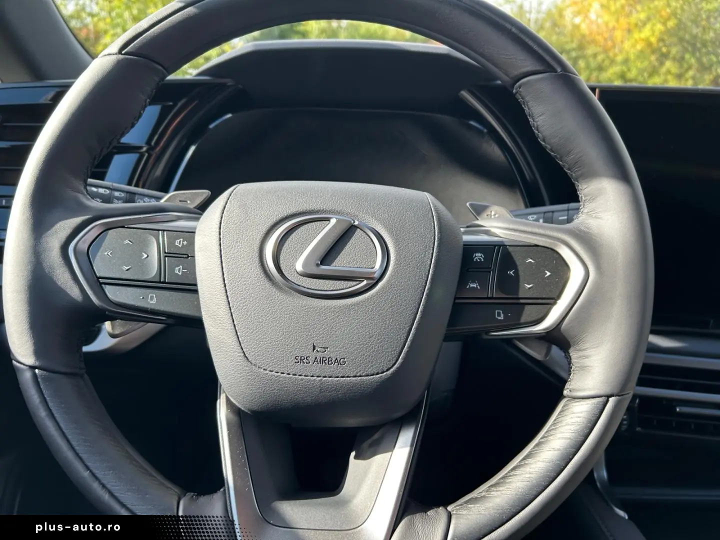 Lexus RX 450h   2 5 l E-CVT  4x4 Plug-in LUXURY