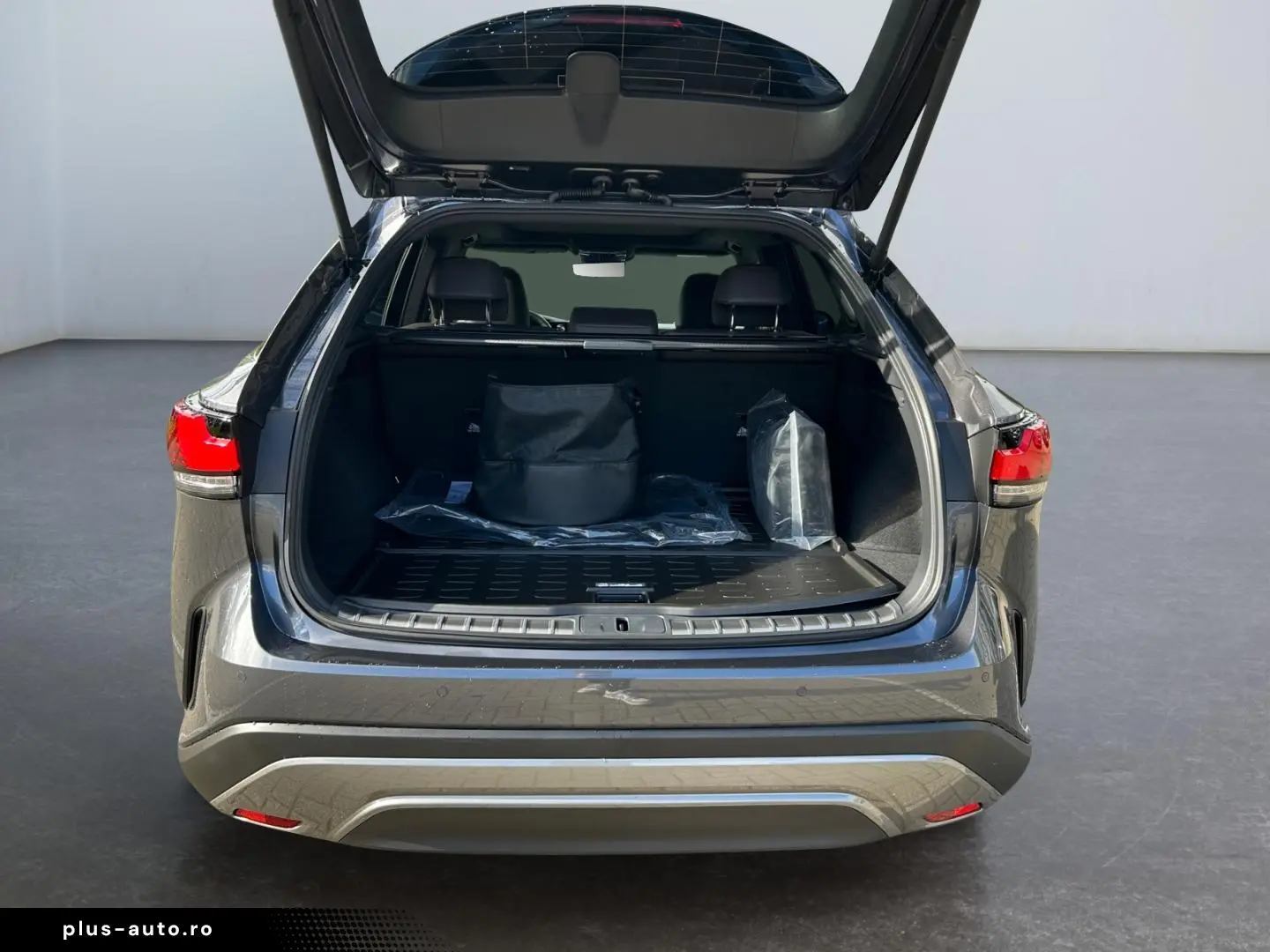 Lexus RX 450h   2 5 l E-CVT  4x4 Plug-in LUXURY