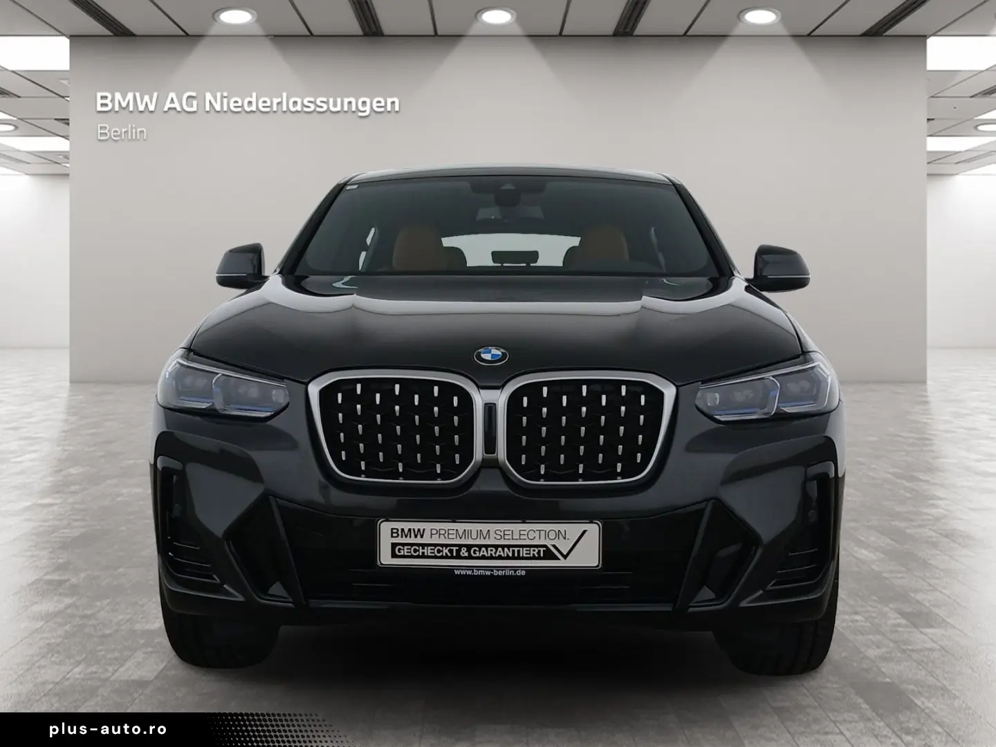 BMW X4 xDrive20d M Sport Standheizung Navi AHK HiFi
