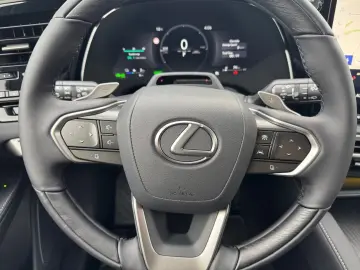 Lexus RX 450h   2 5 l E-CVT  4x4 Plug-in LUXURY