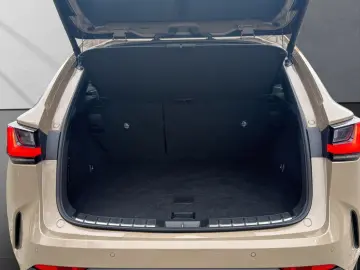 LEXUS NX 350h E-Four Overtrail PANORAMA MARKLEVINSON