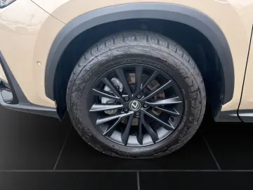LEXUS NX 350h E-Four Overtrail PANORAMA MARKLEVINSON