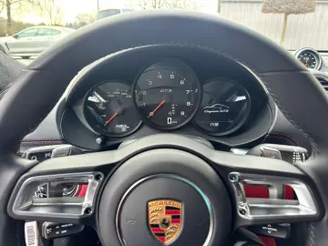 PORSCHE Cayman GTS Bose PDLS  GRA RFK StzHzg Lüft PPF