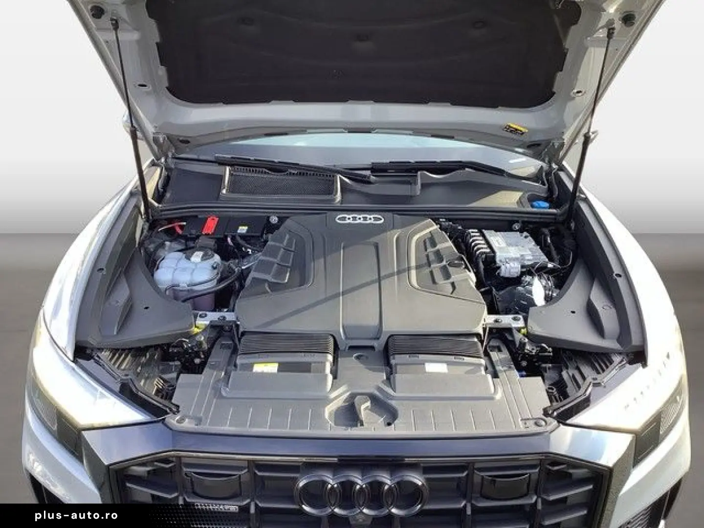 AUDI Q8 50TDI quattro Competition plus HD Matrix LED