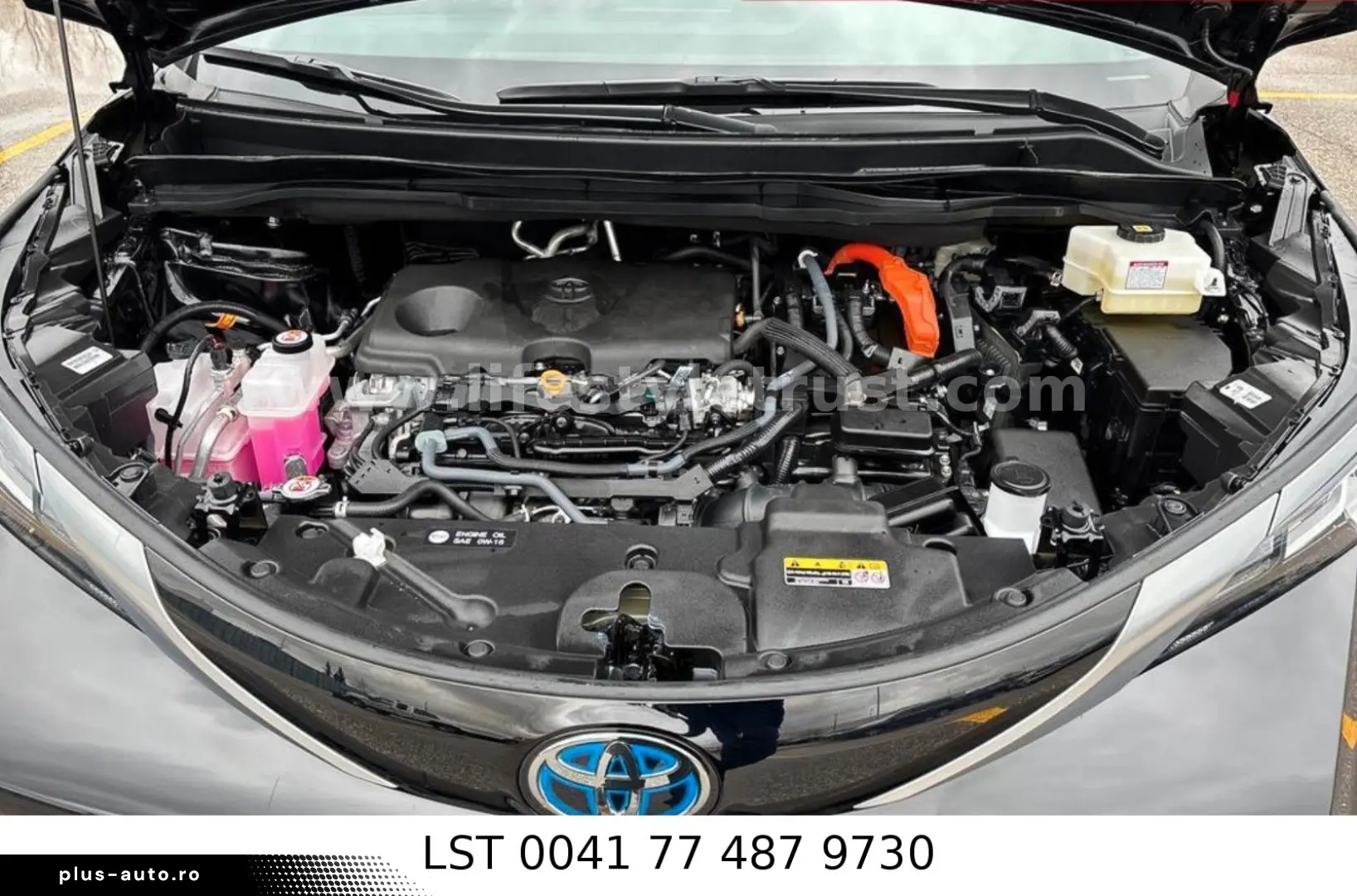 TOYOTA Sienna Limited AWD 7