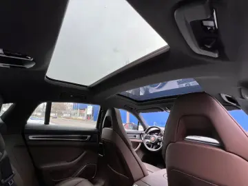 PORSCHE Panamera 4 E-Hyb · Platinum · Sportabgas · MY24