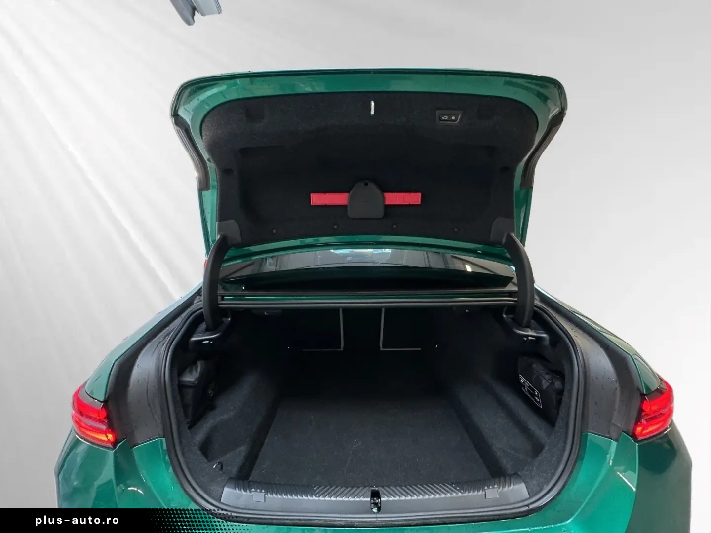 BMW M5 Limousine Bowers