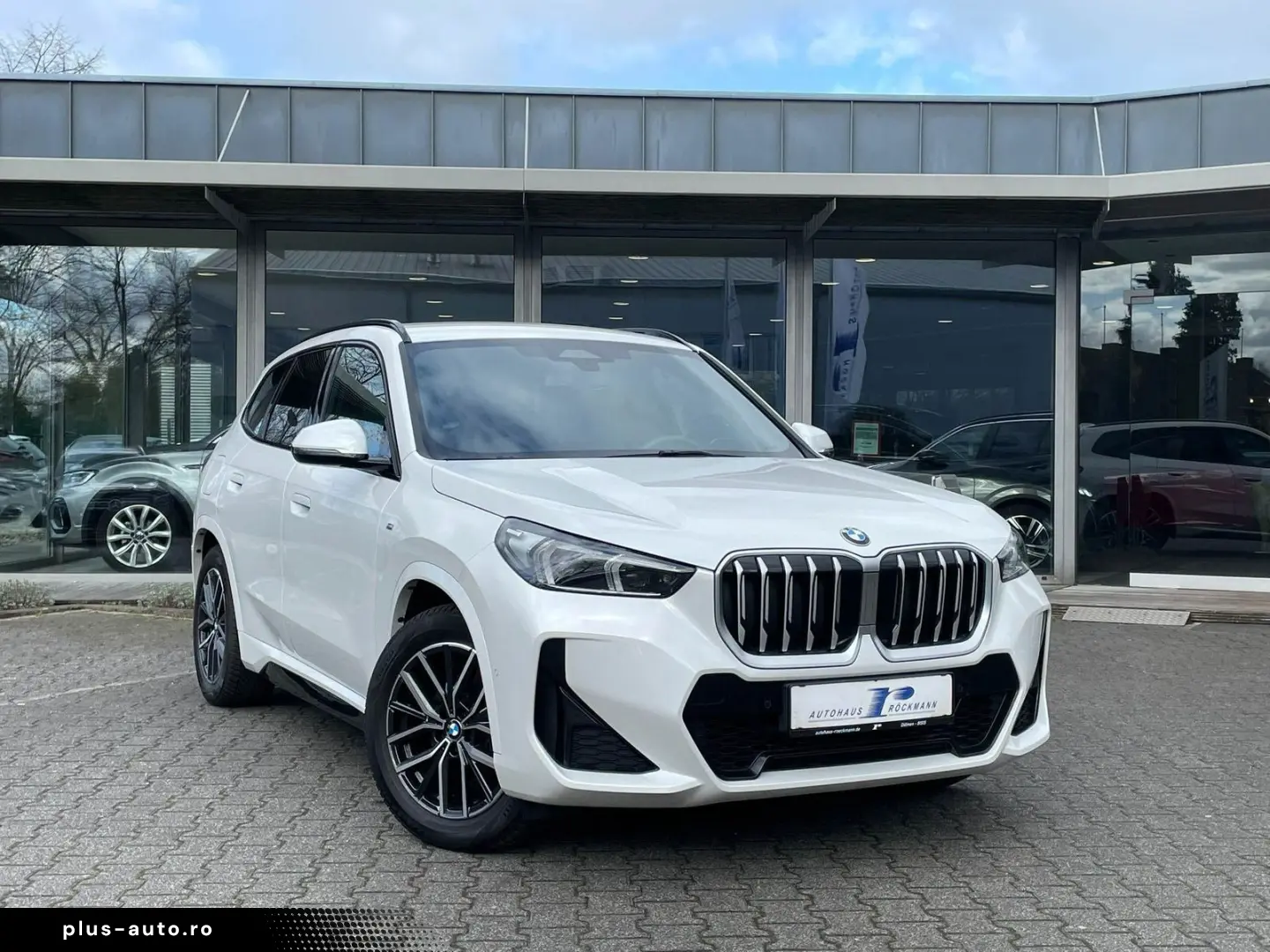 BMW X1 18i sDrive M-Sport AHK Alcantara WR CarPlay