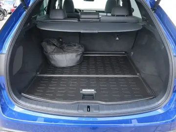 LEXUS RX 450h  (Plug-in-Hybrid) F SPORT Design Panorama