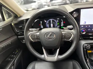 LEXUS NX 450h  E-Four Luxury-Line